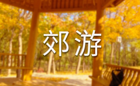 一起去郊游教案
