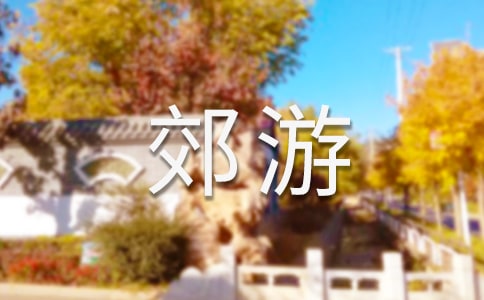 《去郊游》大班教案