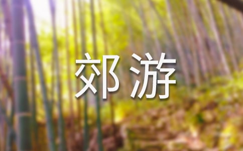 中班我們去郊游教案