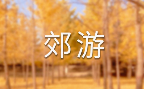 去郊游大班教案