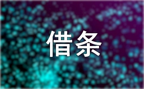 關于借條的擔保7篇