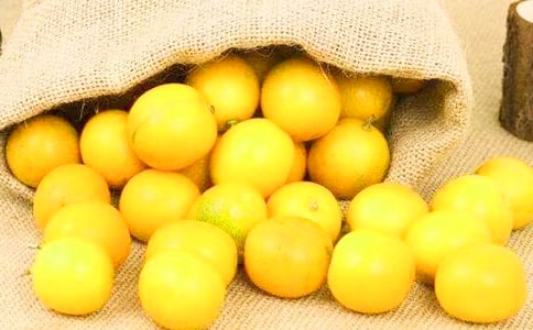 蜂蜜金桔茶的做法