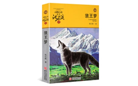 （推薦）狼王夢讀書筆記15篇