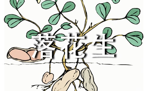 五年級落花生教學反思