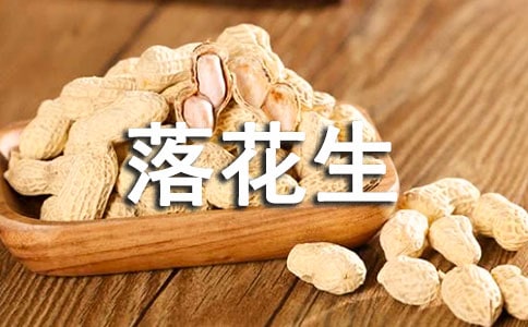 語文落花生教學反思