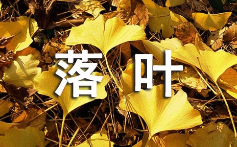 精選形容落葉的句子24條