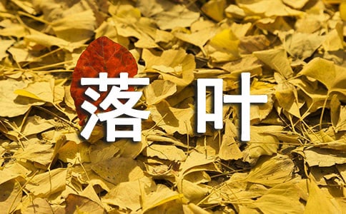 形容落葉的句子21句
