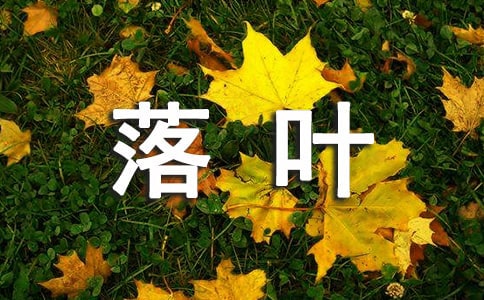 精選形容落葉的句子11句