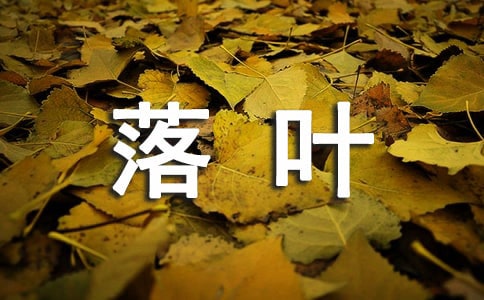 落葉教學反思 《落葉》教學反思