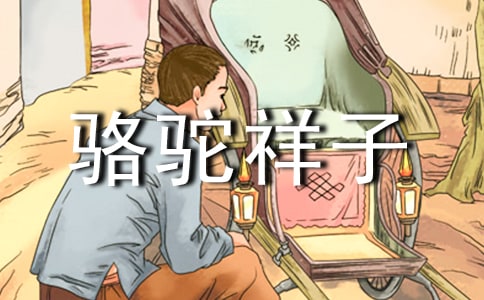 駱駝祥子讀書筆記【精選15篇】