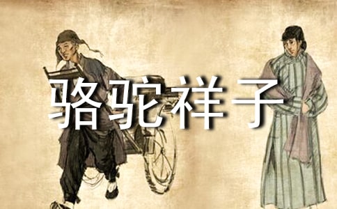 駱駝祥子讀書心得(推薦)