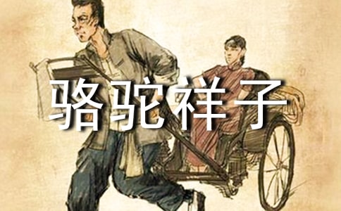 《駱駝祥子》的讀后感