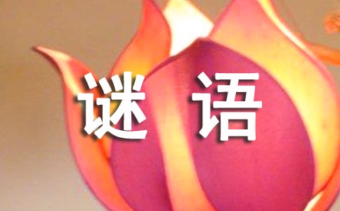 猜謎語小游戲