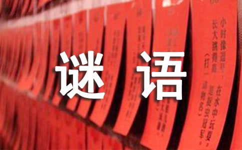 兒童猜謎語大全