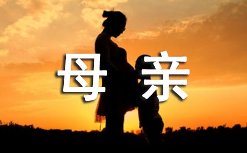 母親的手 閱讀答案
