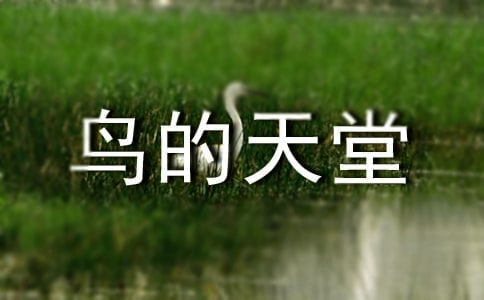 《鳥(niǎo)的天堂》說(shuō)課教案