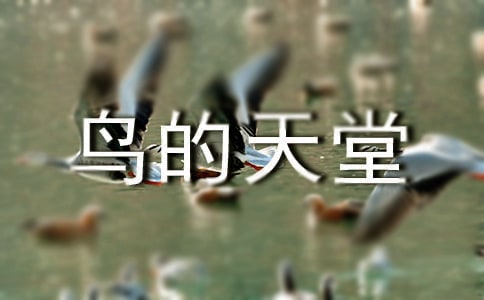 有關(guān)鳥的天堂導(dǎo)游詞