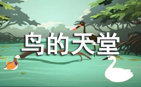 鳥的天堂導游詞15篇【薦】