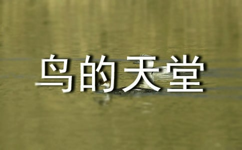 關(guān)于鳥(niǎo)的天堂的導(dǎo)游詞14篇