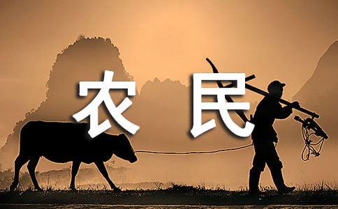 農(nóng)民工工資保障制度