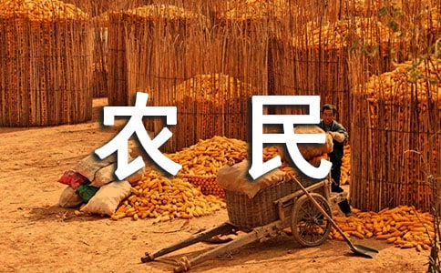 關于農民生活狀況的調查報告