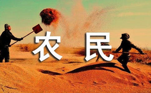農民怎么賺錢