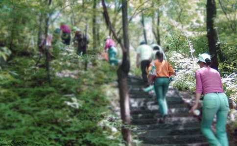 上海周邊爬山好去處