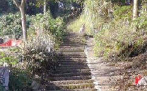 春季爬山旅游有哪些好去處