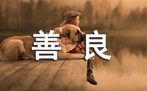 小豌豆的善良的睡前故事