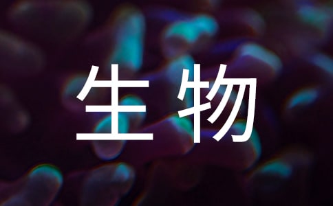 高二生物教學(xué)計劃