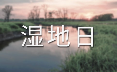世界濕地日宣傳活動總結