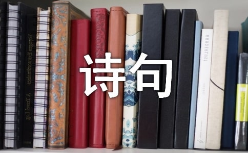 花個性詩句座右銘40句