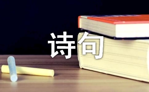 經典花個性詩句座右銘語錄60句