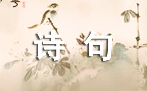 經典花詩句座右銘大全90句精選