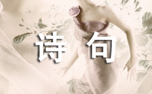 雨個性詩句座右銘語錄匯總80句