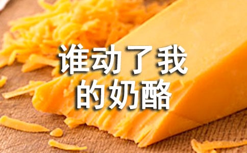 《誰動了我的奶酪》讀后感15篇[實用]