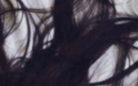 《給母親梳頭發(fā)》閱讀答案(優(yōu))