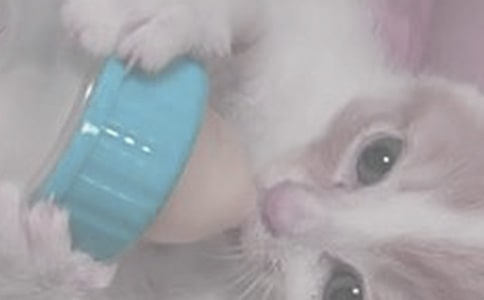 分娩完之后多久可以給寶寶喂奶
