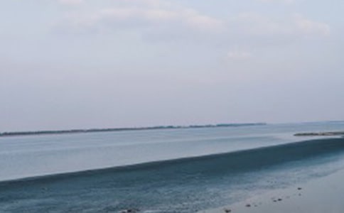我們看海去閱讀答案