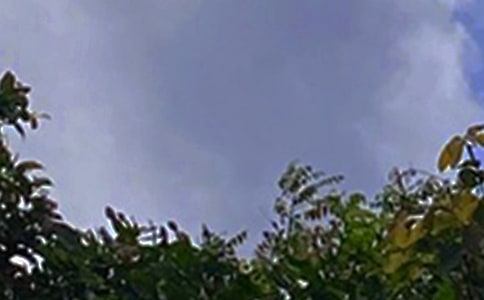 關于午安寄語（精選30句）