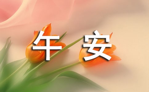 經典暖心午安感言50句