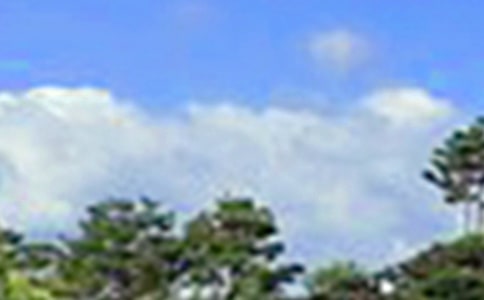 關于唯美午安寄語大全（通用80句）