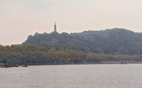 西湖龍井怎么泡