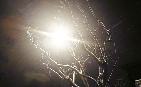 下雪的句子(15篇)
