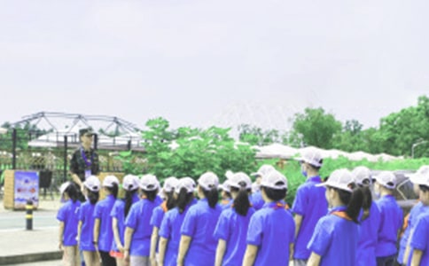 （熱門）夏令營教授推薦信15篇