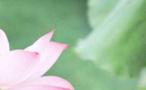 夏至過后有什么防暑妙招