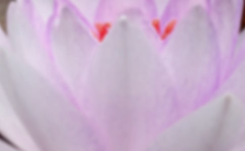 夏至是什么意思——夏至由來