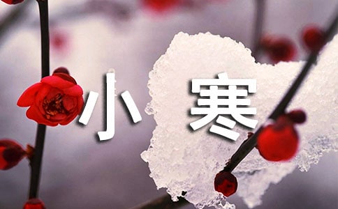 小寒節氣吃什么蔬菜呢