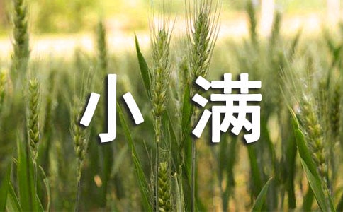小滿養生吃什么水果