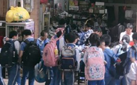 【推薦】小學(xué)生科普作文4篇